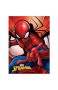 Spiderman Fleecedecke Referenz NI für Bett Tagesdecke und Tagesdecke Heimtextilien Unisex für Erwachsene Farbe