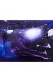 A Nice Night Steppdecke mit Galaxy-Motiv 3D-Druck verblasst nicht mit 2 passenden Kissenbezügen Queen-Size-Größe
