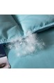 CHOU DAN Klimaanlage Bettdecke Therapiedecke Gewichtsdecke Erwachsene Ganzjahres-Luxusbettdecke in voller Größe/große Bettdecke 220 * 240cm 4000g