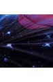 Juwenin bedding Galaxy Down Alternative 3-teiliges Steppdecken-Set mit 2 passenden Kissenbezügen für alle Jahreszeiten flauschig (Queen XK-12)