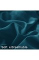 Kasentex Wendebettwäsche-Set mit Plüschdaunen-Alternativ-Füllung flauschig hypoallergen und maschinenwaschbar Queensize Meeresschildkröte Blaugrün/Karibikblau