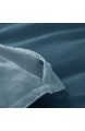 Kasentex Wendebettwäsche-Set mit Plüschdaunen-Alternativ-Füllung flauschig hypoallergen und maschinenwaschbar Queensize Meeresschildkröte Blaugrün/Karibikblau