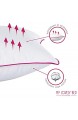 My Lovely Bed - Natürliches Kopfkissen 50x70 cm - Füllung Federn und Daunen - Bezug 100% Baumwolle - Füllig und weich - Hohe Qualität - Ultra Komfort - Rechteckig