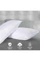 Utopia Bedding Premium KopfKissen (2er Set) - 50 x 70 cm Schlafkissen - Baumwollmischgewebe mit 900g Polyfaser Füllung - Atmungsaktiv et Weich Kissen (Weiß)