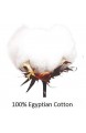 Comfort Beddings Spannbetttuch schwere Qualität Fadenzahl 600 100 % ägyptische Baumwolle Oxford-Kissenbezüge 2 Stück superweich hypoallergen Größe 50 x 75 cm Weiß