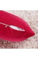 COMFORTLAND Samt Kissenbezug 45x45cm 2-Set Sanft Einfarbige Moderne Quadratische Kissen Hülle Zierkissenbezüge für Weihnachten Deko Wohnzimmer Sofa Schlafzimmer Auto rot