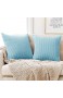 Deconovo Kissenbezug Kordsamt Zierkissenbezug Dekorativen Kissenhüllen Weiches Massiv Kissen für Sofa Couch Schlafzimmer Baby Blau 60x60 cm 2er Set