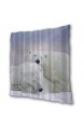 TARTINY 2 Pack Kissenbezüge Eisbären schlafen gegeneinander Tierkunst Quadratische Kissenhüllen für das Wohnzimmer-Sofa Schlafzimmer 60cm x 60cm