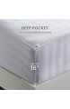 SLEEP ZONE Gestreiftes Bettlaken-Set 120 g/m² luxuriöse Mikrofaser Temperaturregulierung weich knitterfrei farbecht pflegeleicht (weiß Twin XL)