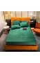Topashe Modernen Farben Bettlaken Coral Samt verdicktes Bettlaken All-Inclusive rutschfeste Bettdecke-grün_90 * 200cm Atmungsaktiv Bettlaken