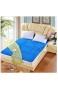 Yousiju Flanell Bettschutz Pad Matratzenschutz for Betten Solid Printed Flanellbezug auf der Matratze (Color : Blue Size : 180x200cm)