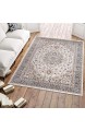 Carpeto Traditioneller Orientalischer Teppich - Kurzflor - Weicher Teppich Perser für Wohnzimmer Schlafzimmer Esszimmer - ÖKO-TEX Zertifiziert - AYLA - 250 x 350 cm - Creme