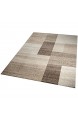 Designer Teppich Moderner Teppich Wohnzimmer Teppich Kurzflor Teppich Barock Design Meliert Braun Beige Größe 120x170 cm