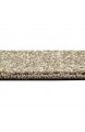 Designer Teppich Moderner Teppich Wohnzimmer Teppich Velours Kurzflor Teppich mit Winchester Bordüre in Braun Beige Creme Größe 200 x 290 cm