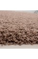 Hochflor Shaggy Teppich für Wohnzimmer Langflor Pflegeleicht Schadsstof geprüft 3 cm Florhöhe Oeko Tex Standarts Teppich Maße:240x340 cm Farbe:Mocca