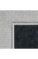 Paco Home Teppich Wohnzimmer Einfarbig Schlicht Und Modern Kurzflor Versch. Größen Farben Grösse:80x150 cm Farbe:Silber