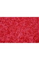 Selena Fussmatte - Türmatte - Schmutzabstreifer - Haustürmatte - Fussabtreter - Sauberlauf rot 40 x 60 cm