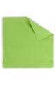 npluseins Renforcé-Kissenbezüge im Doppelpack - 100% Baumwolle – schlicht und edel im Design in 11 Uni-Farben 40 x 40 cm grün