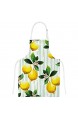 U-Life Küchenschürze mit Tasche Ofenhandschuh Topflappen Matten-Set Grün Gelb Zitronengelb Blumenmuster