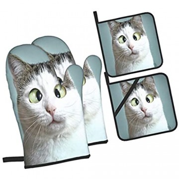 Ofenhandschuhe und Topflappen 4-teilig Set Lustige Katze Augenarzt Appointmet Schielen schließen wasserdicht und hitzebeständig Topfhandschuhe für Kochen Backen Grillen