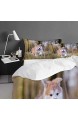 VICCHYY Bettbezug-Bettwasche Akita Inu Puppy Mikrofaser 140x200cm mit 2 Kissenbezugen 50x80cm