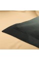 WONGS BEDDING Bettwäsche 200x200 cm Bettbezug Set Wendebettwäsche Angenehme Mikrofaser 3D Drachen Bettbezüge 1 Bettbezug 200x200 cm mit Reißverschluss + 2 Kissenbezüge 48x75 cm