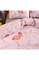 ELEH Bettwäsche Set 3 Teilig(1 Bettbezug + 2 Kissenbezug) Flamingo Muster 100% Polyester Mikrofaser mit Reißverschluss Bettbezüge (Flamingo 200x200 cm+2x80x80 cm)
